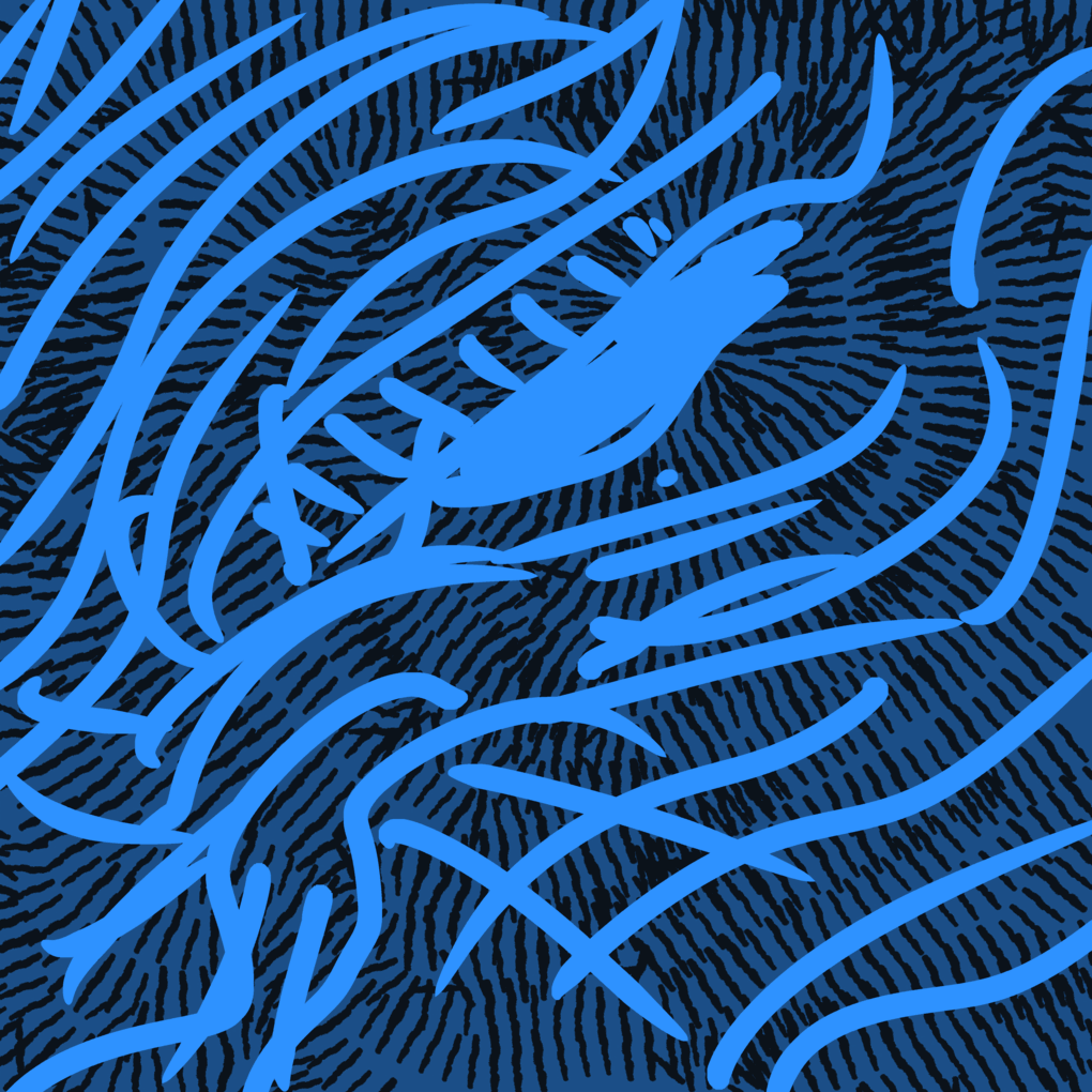 Blue eyed looking.gif